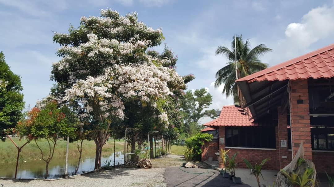 Homestay Umbai Kelana Merlimau Exterior foto