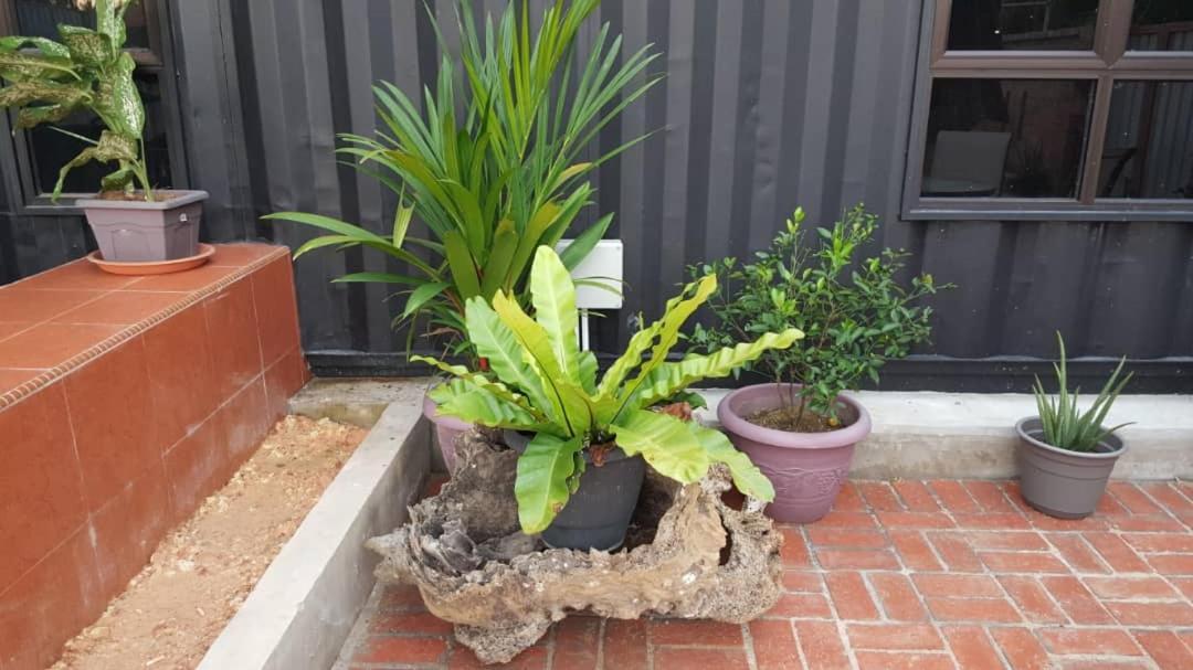 Homestay Umbai Kelana Merlimau Exterior foto