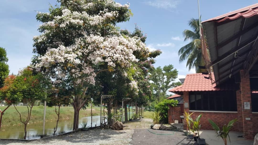 Homestay Umbai Kelana Merlimau Exterior foto